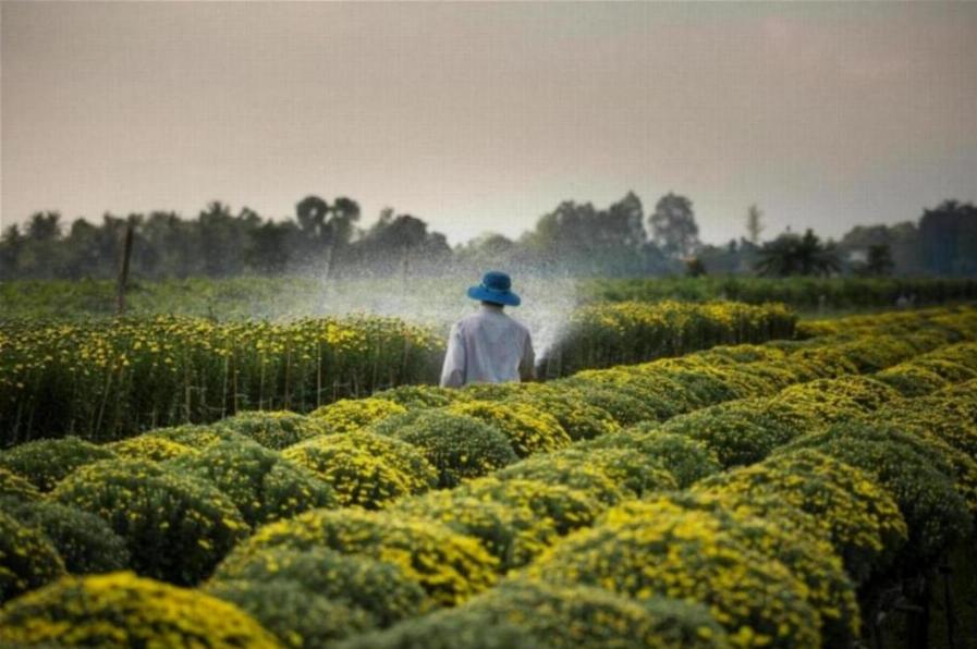 Study Agriculture Course in malaysia (3)